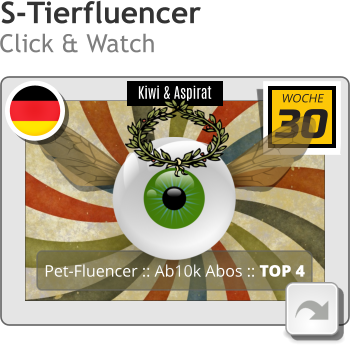 Kiwi & Aspirat Pet-Fluencer :: Ab10k Abos :: TOP 4 30 WOCHE S-Tierfluencer Click & Watch